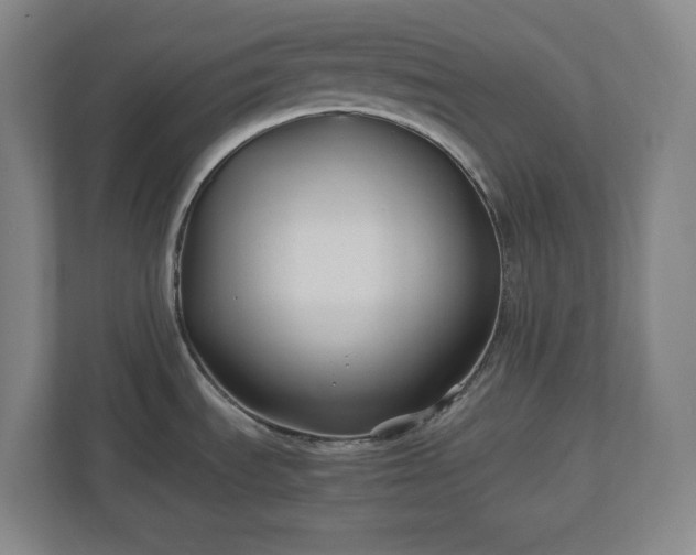 X0000110771535200906221132