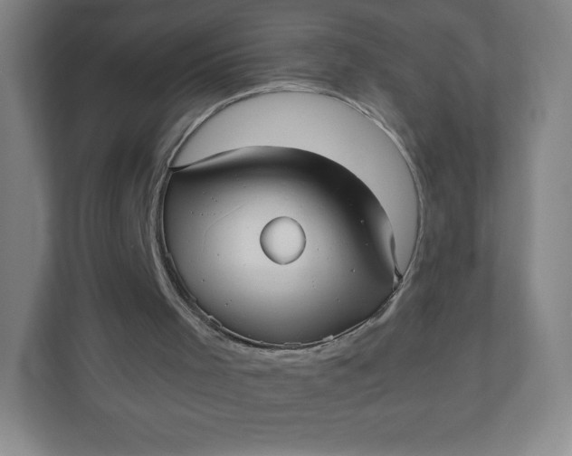 X0000110770001200906291057