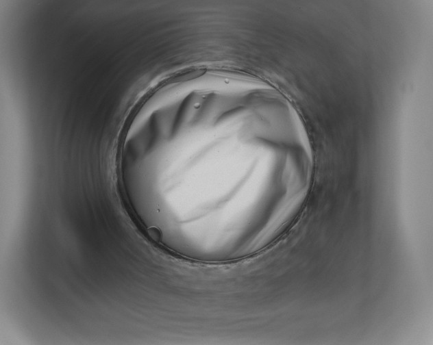 X0000110770002200906291057