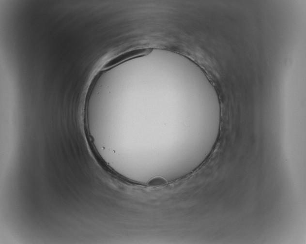 X0000110770003200906291057