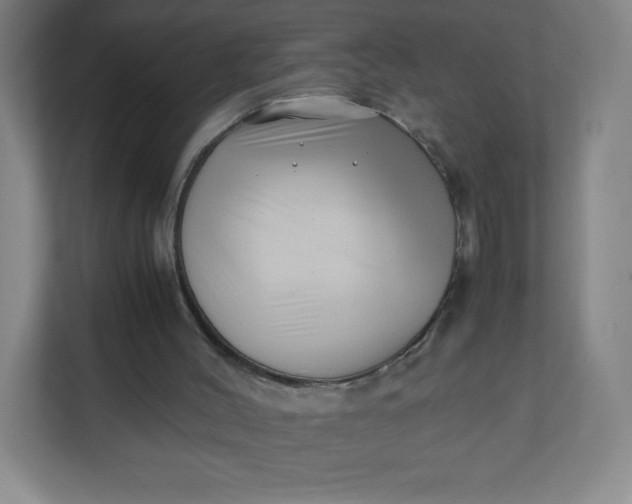 X0000110770004200906291057