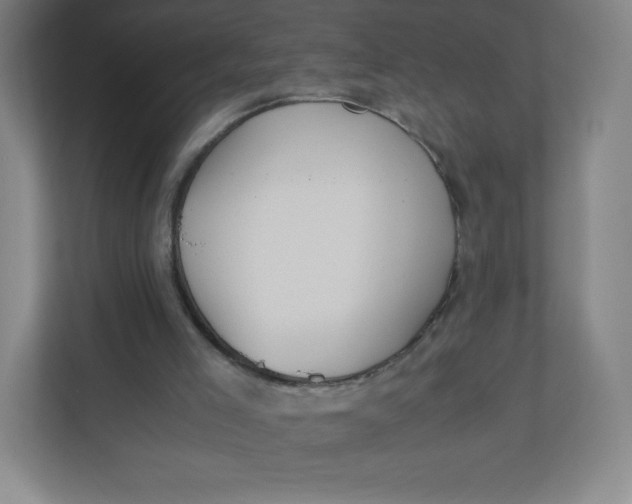 X0000110770005200906291057