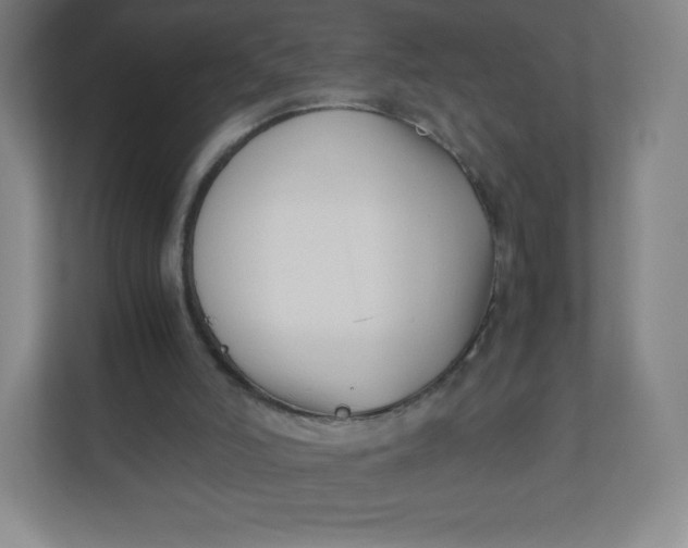 X0000110770006200906291057