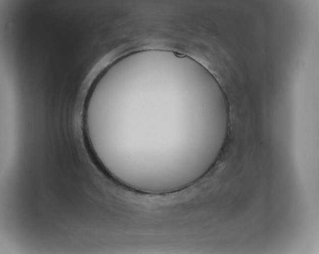 X0000110770007200906291057