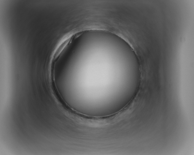 X0000110770008200906291057