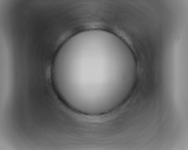 X0000110770010200906291057