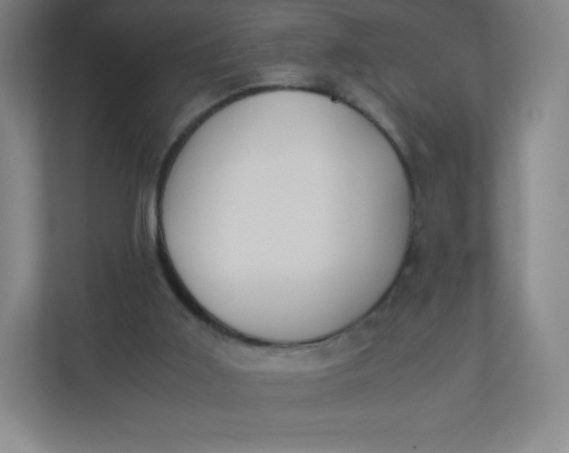 X0000110770011200906291057