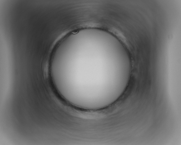 X0000110770012200906291057