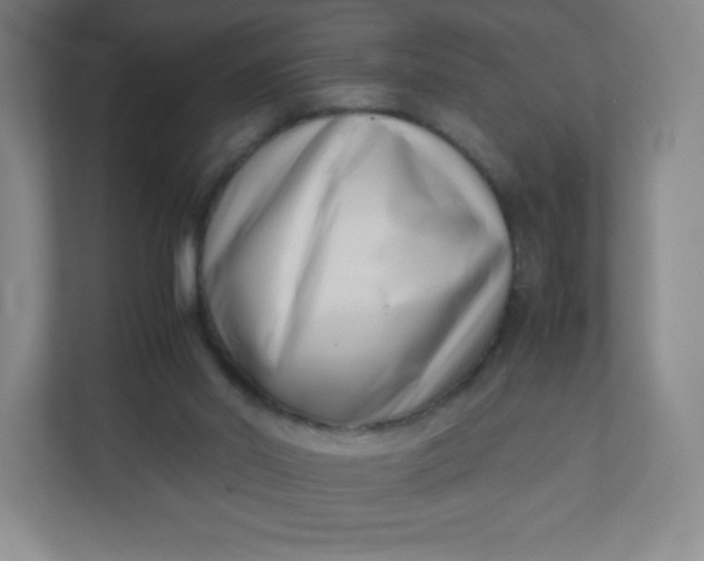 X0000110770014200906291057