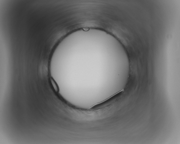 X0000110770015200906291057