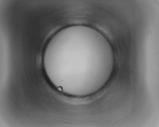 X0000110770016200906291057