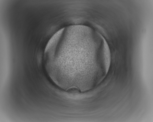 X0000110770018200906291057