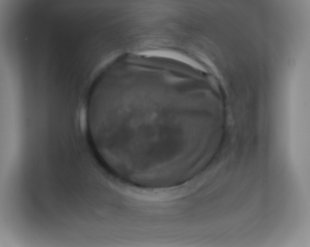 X0000110770019200906291057