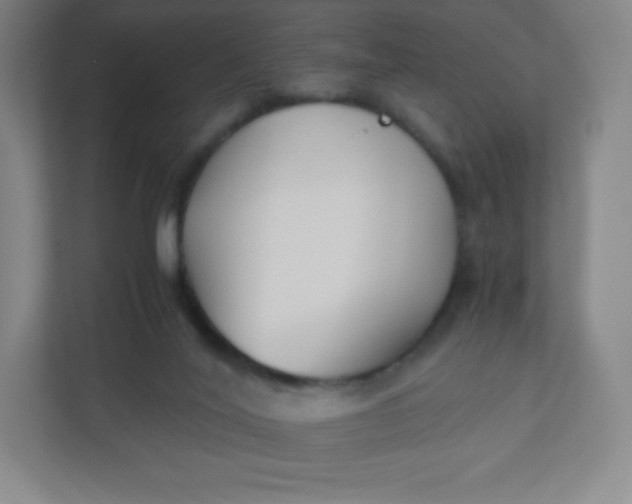 X0000110770020200906291057