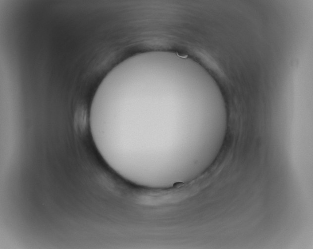 X0000110770021200906291057