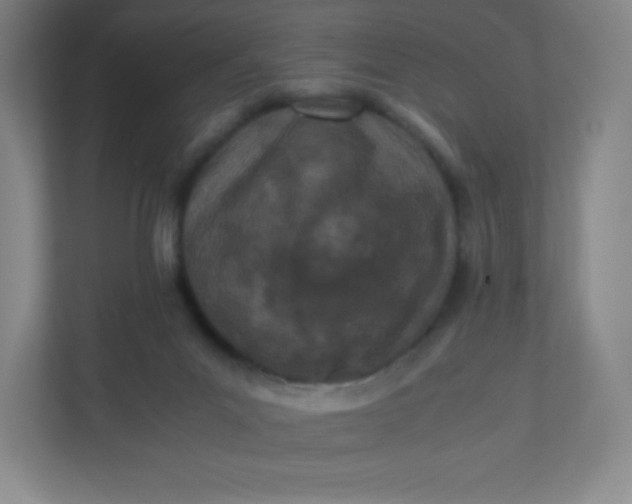 X0000110770023200906291057