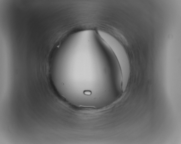 X0000110770025200906291057