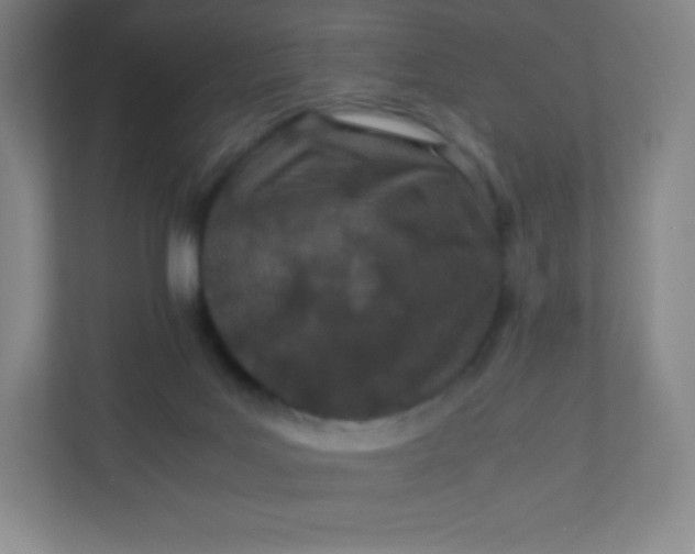 X0000110770027200906291057