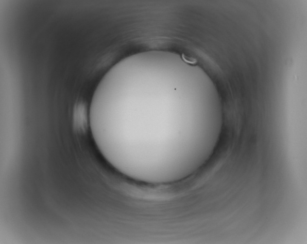 X0000110770028200906291057