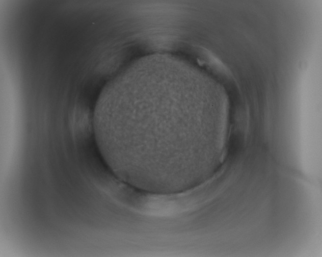 X0000110770029200906291057