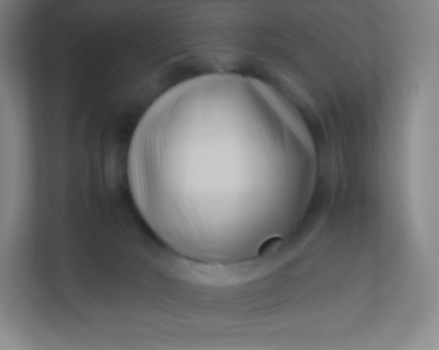 X0000110770030200906291057