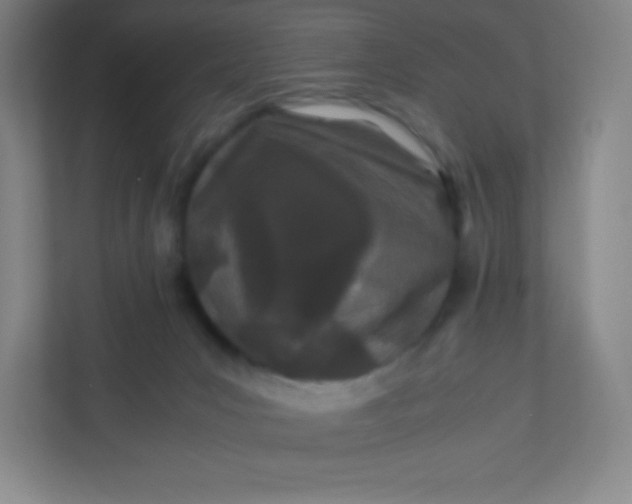 X0000110770031200906291057