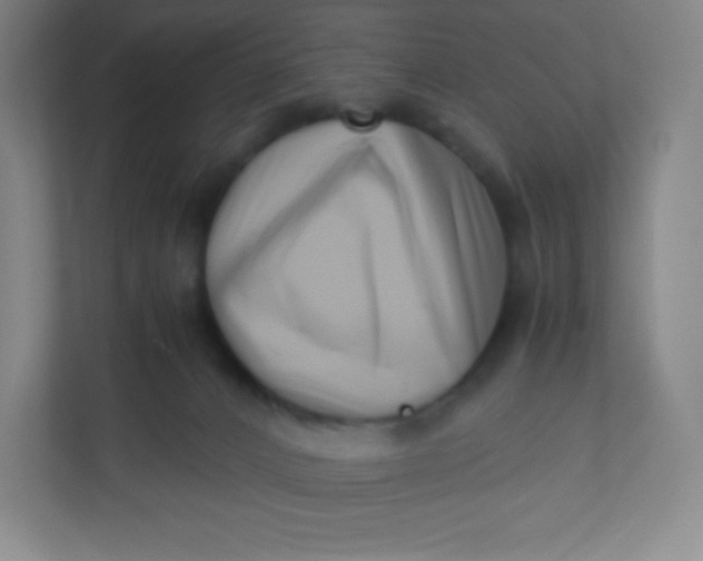 X0000110770032200906291057