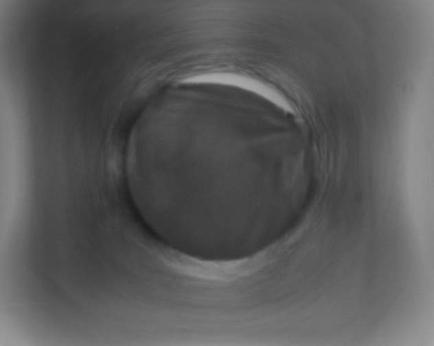 X0000110770035200906291057