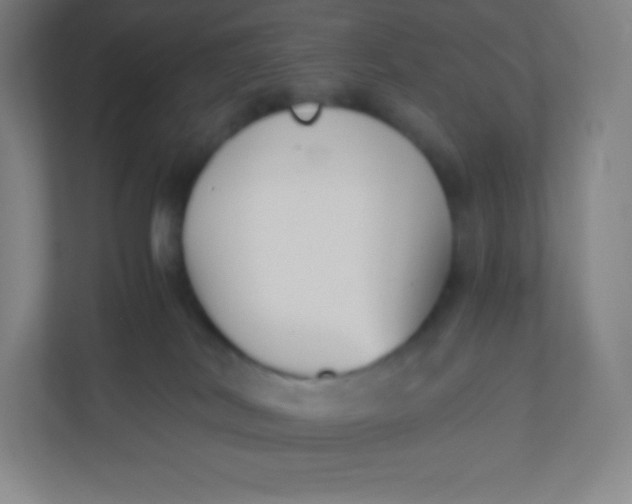 X0000110770038200906291057