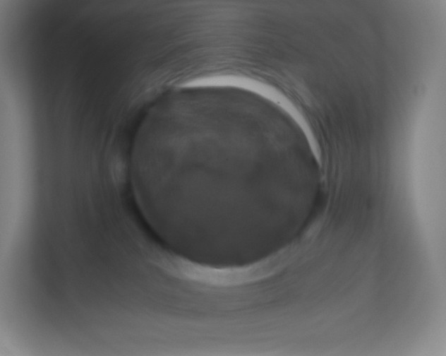 X0000110770039200906291057