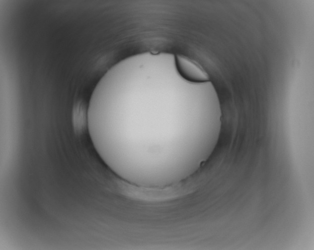 X0000110770042200906291057