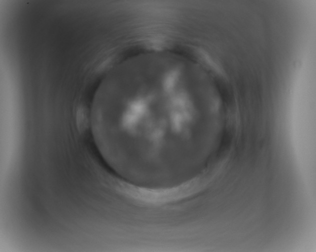 X0000110770043200906291057