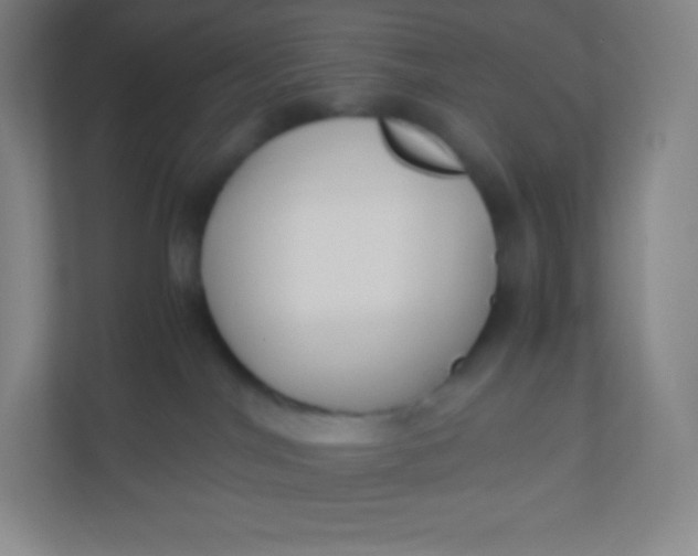 X0000110770044200906291057