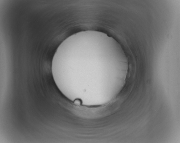 X0000110770048200906291057