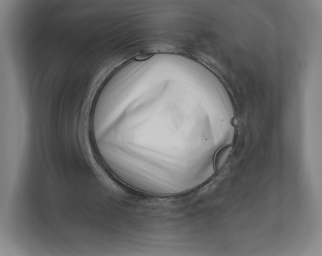 X0000110770049200906291056