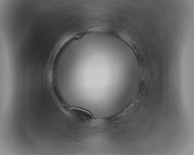 X0000110770050200906291056