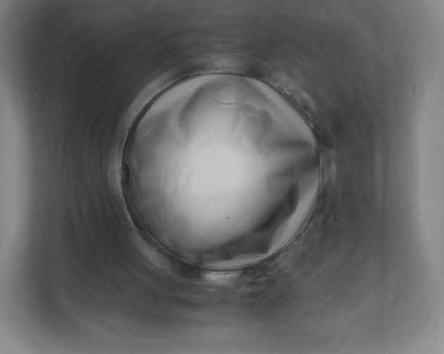 X0000110770051200906291056