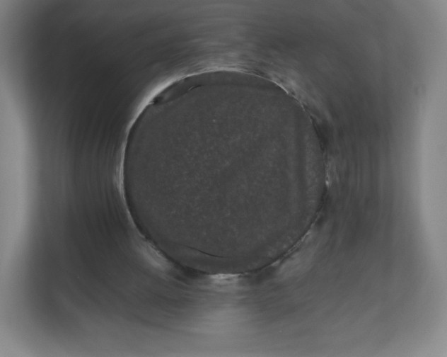 X0000110770052200906291056