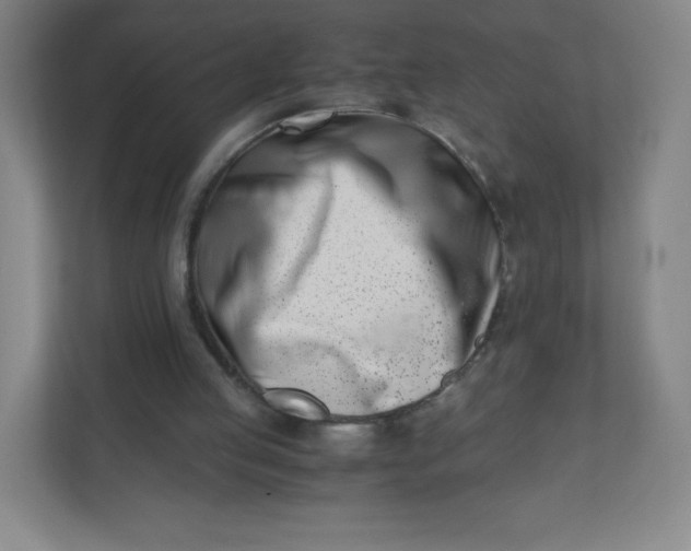 X0000110770053200906291056