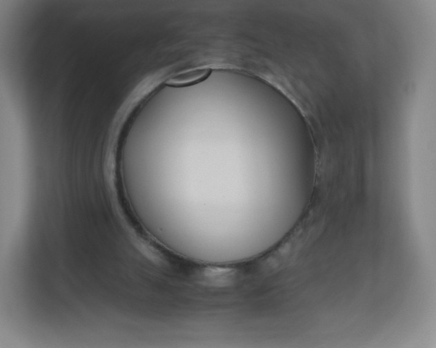 X0000110770055200906291056