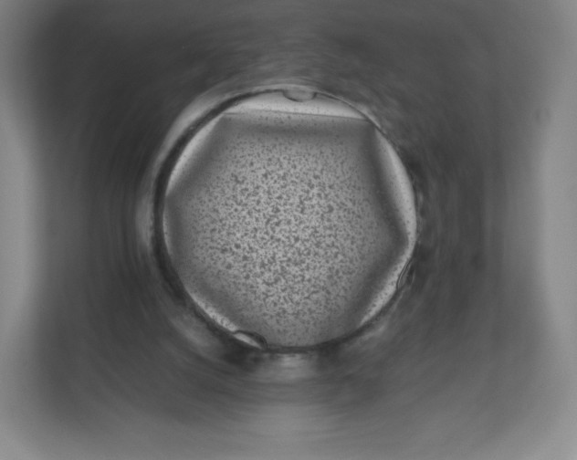 X0000110770056200906291056