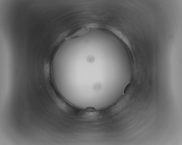 X0000110770057200906291056