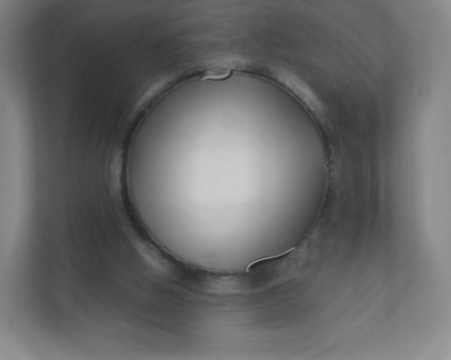 X0000110770058200906291056