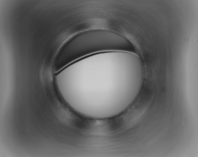 X0000110770060200906291056