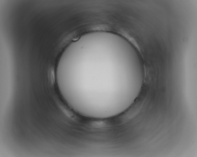 X0000110770061200906291056