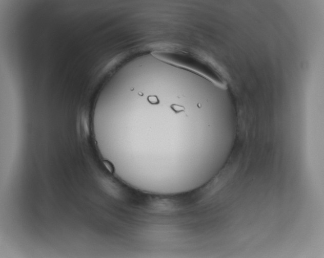 X0000110770062200906291056