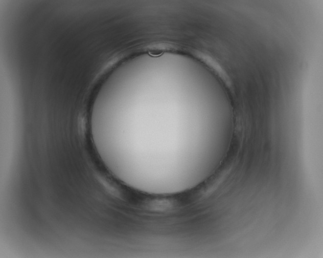 X0000110770063200906291056