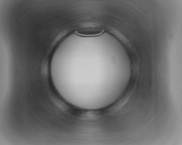 X0000110770064200906291056