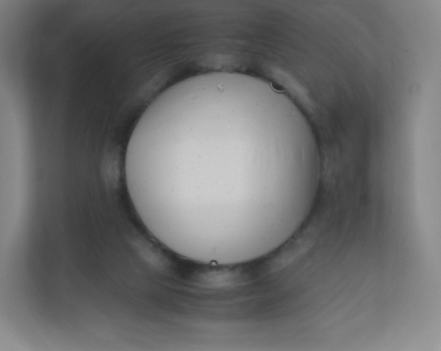 X0000110770065200906291056