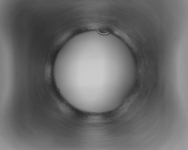 X0000110770066200906291056